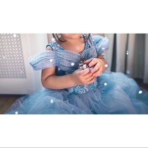 Queen of the Kingdom Princess Dress Costume